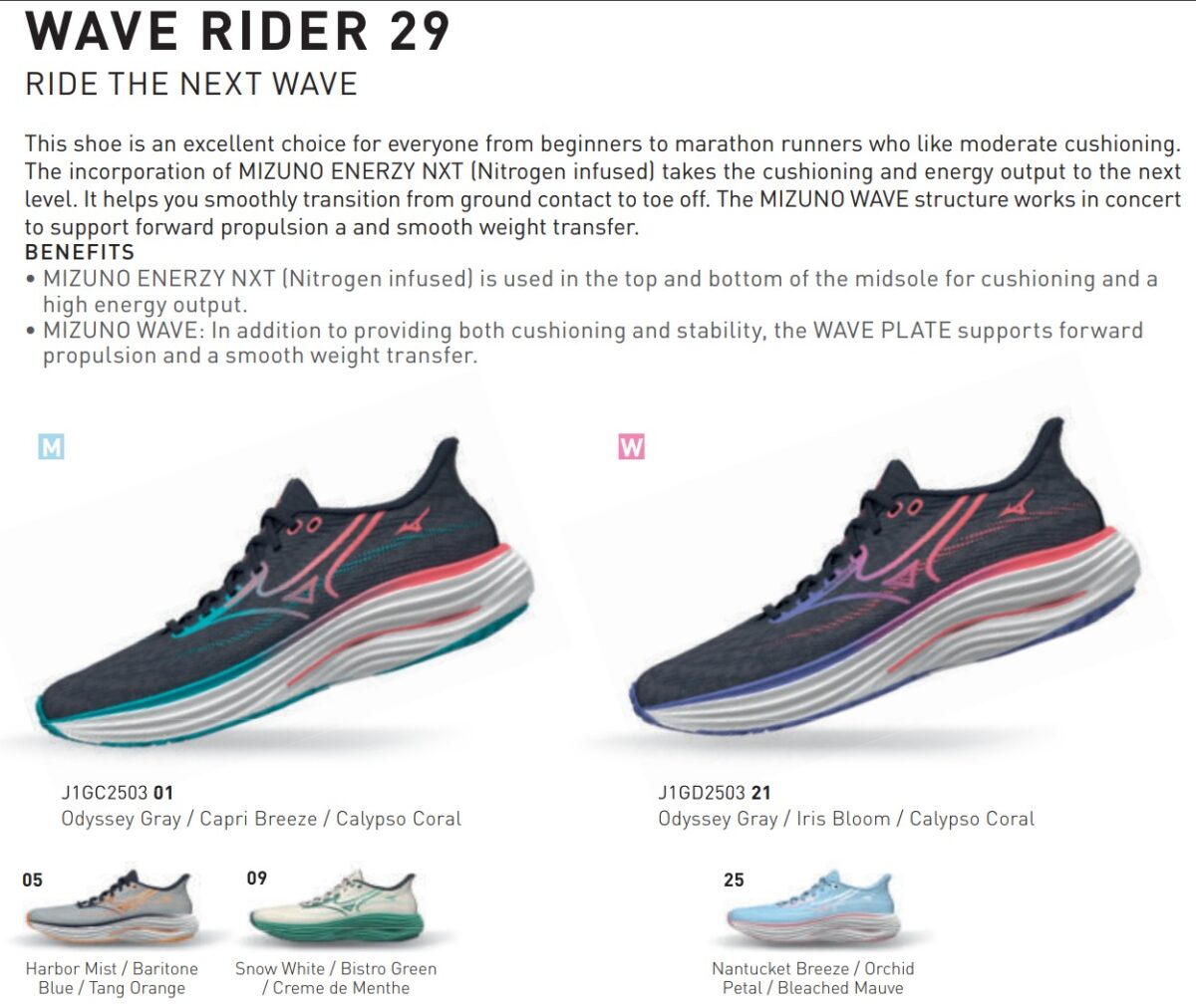 Mizuno Wave Rider 29 (2025 New Release ) - Whatever RUN